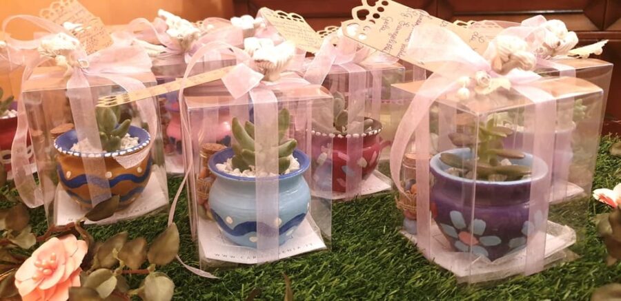 bomboniere vasetti piantine grasse